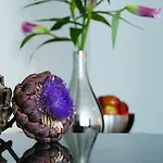 Schiller 5 4*